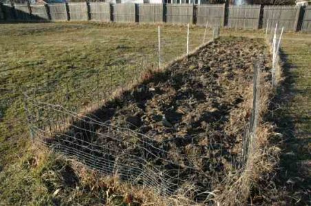 Garden Planning: A Tale of Three Gardens Image